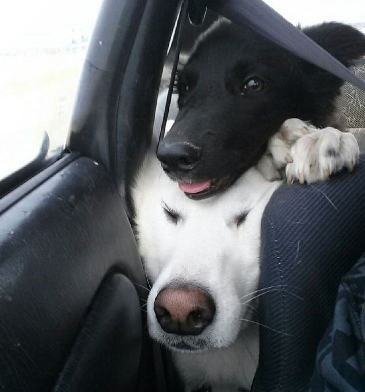 4efa7e5464bd937b422050a2df