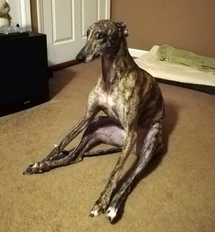 4effc8572aa28e66c70b662ccc