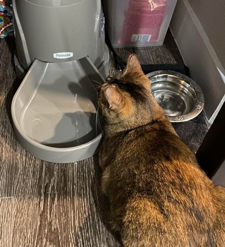 4f00b6506496eddfed8c7e5e08