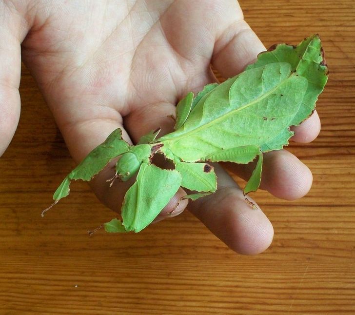 4f04fe5cd1a8885698061e1d3a