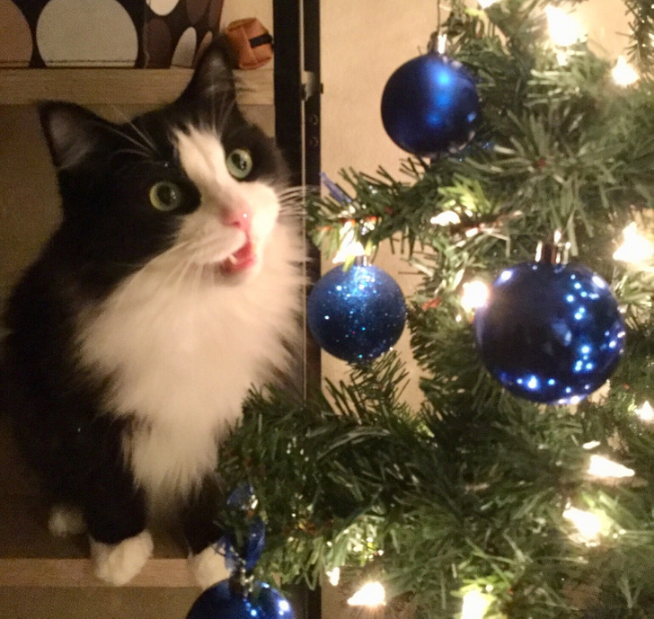 4f079b52adabd59ceb6ca80a53