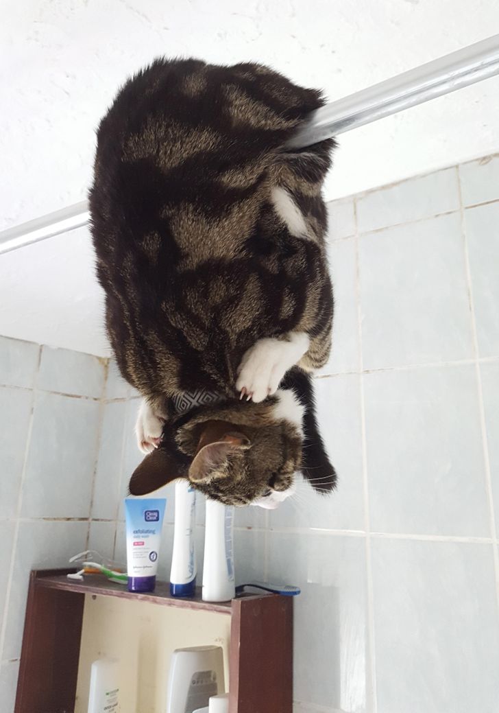 4f15ed536289408c996b635901 4f15ed536289408c996b635901