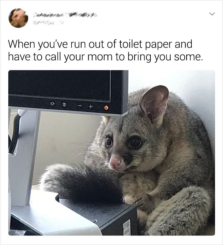 4f1e3052989695b60985ae48d6