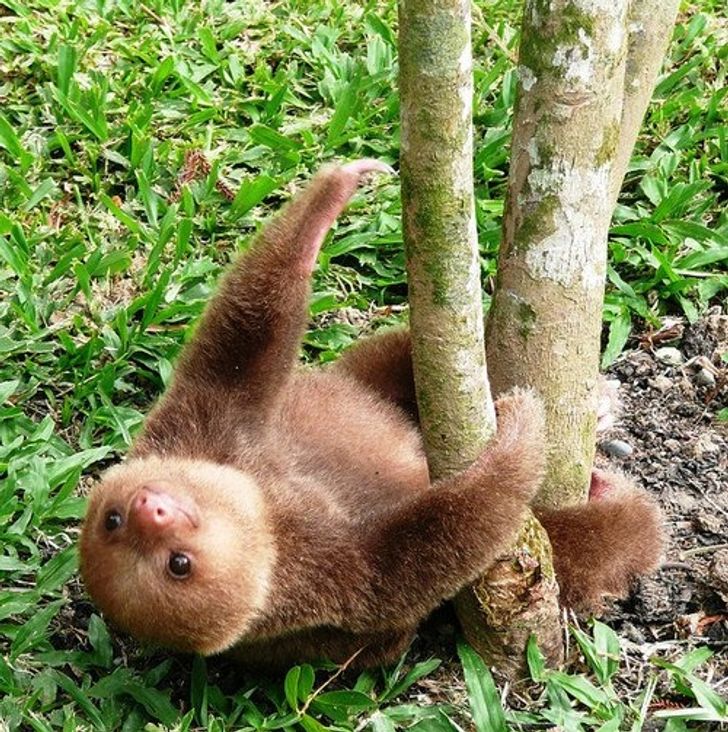 4f20d65314acc5b0cbcf948124