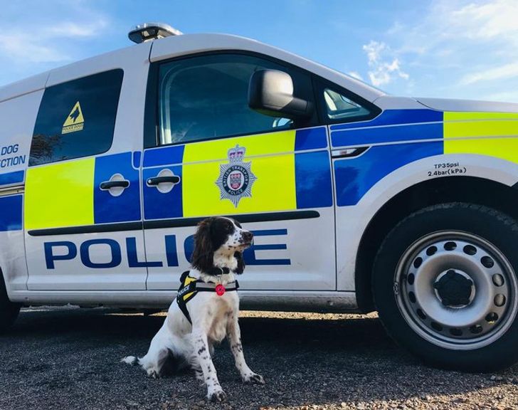 4f2bf65d01b3b64842b792ad07