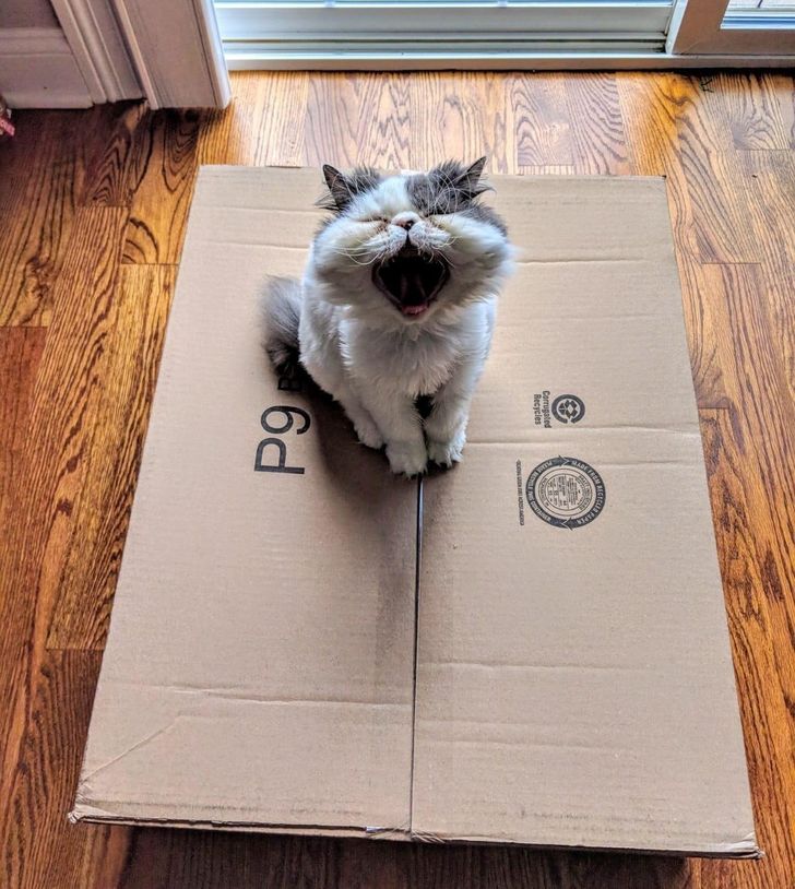 4f46bb5a828dcc016d3c22fe5e