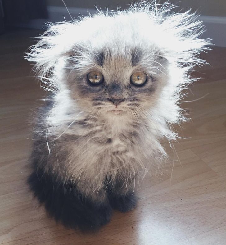 4f481f51cdbfe2042f26e66fcc