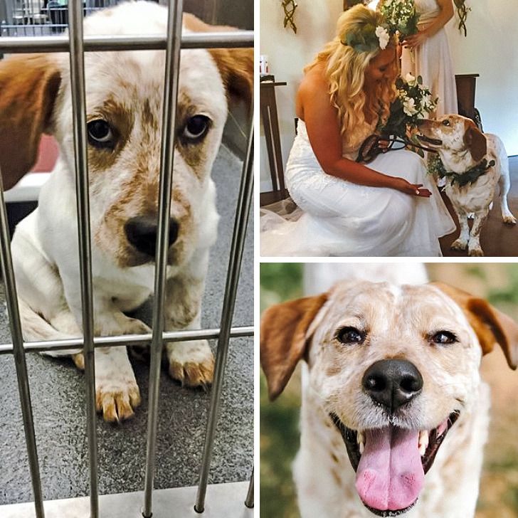 4f491a574e82e8c1ae88f723ff 4f491a574e82e8c1ae88f723ff