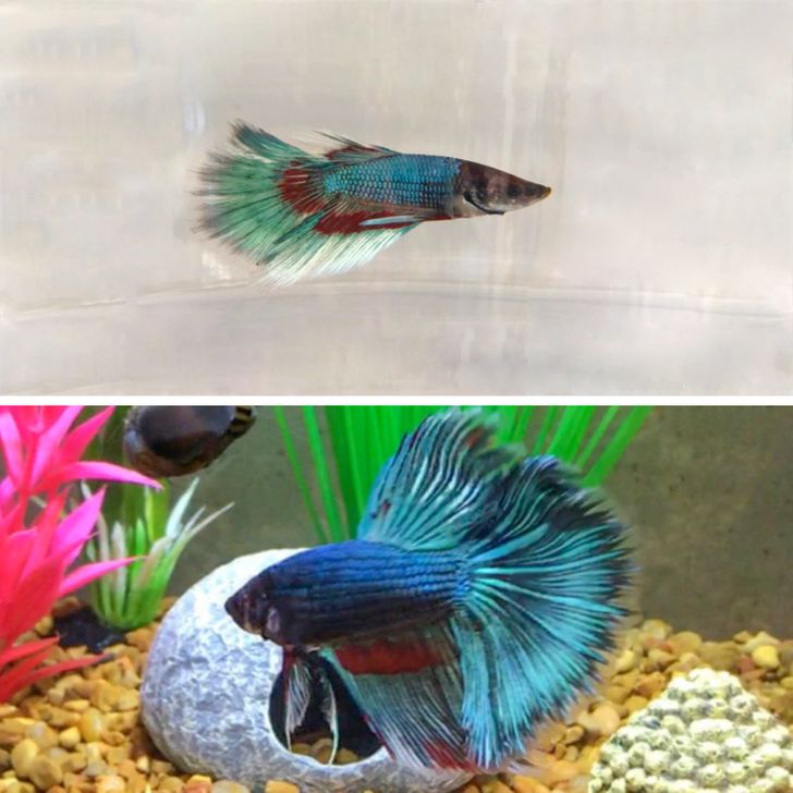 4f49d152978cdeea71de715787