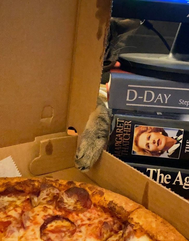 4f4bc559fdaeab2d340558cfde