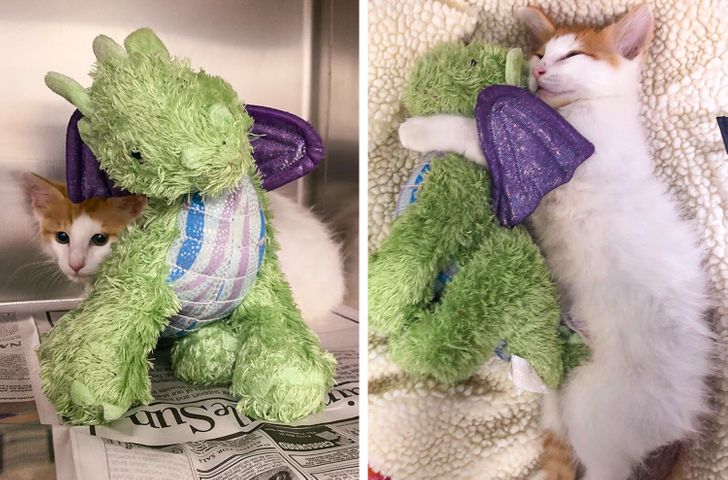 4f4ed75d3aa1958d79d0dd4088