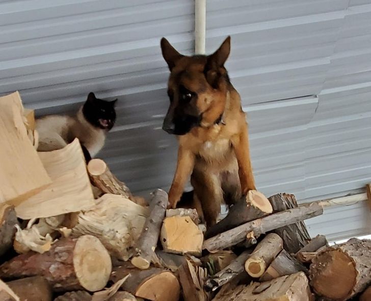 4f5099569bb0c25585d91e405a