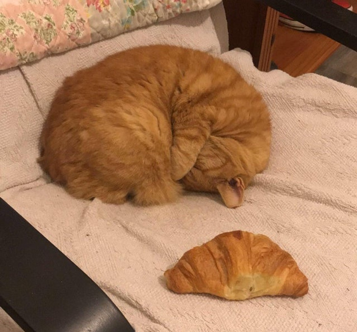 4f540b539589630c25efe846df 4f540b539589630c25efe846df