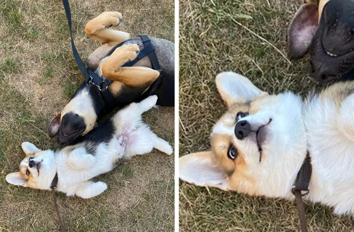 4f551a585bb26aec082738c26b