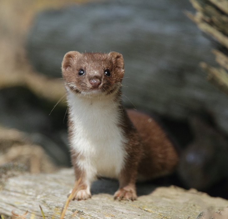 4f5d81504c9c81d90937652fac