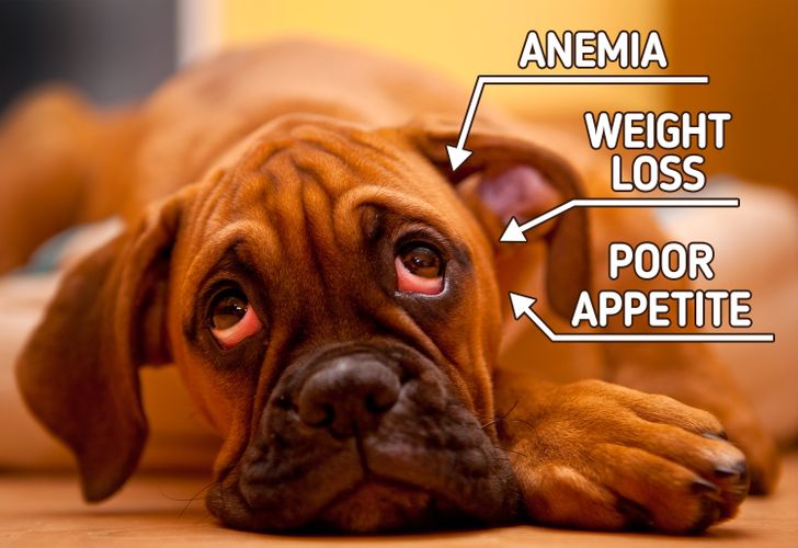 4f5f5f51fe8d7231e4fc83f577