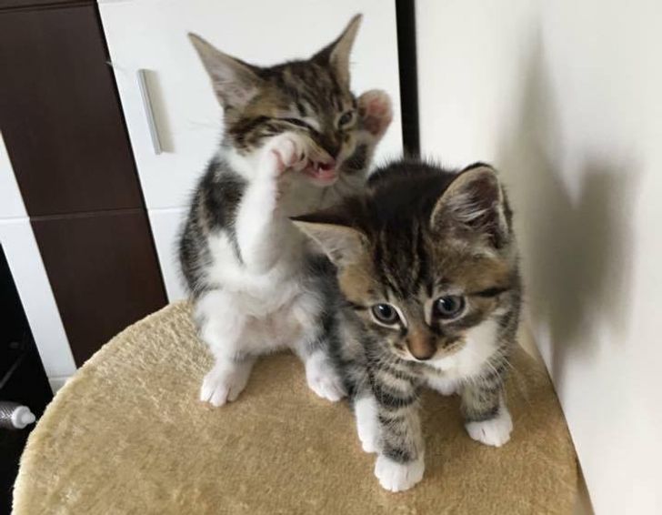 4f5f6c557aace5739f1fb3db4f