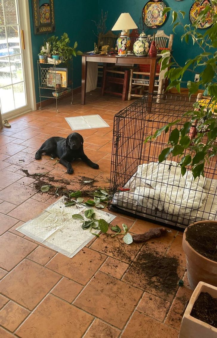 4f601454adbbeaed21d379443e