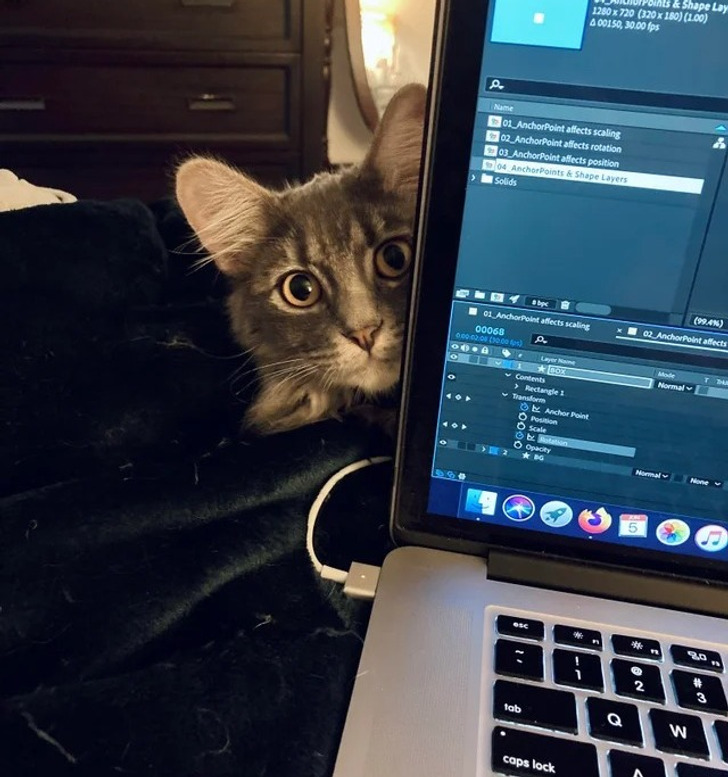 4f69fd52f0bc0cd699b5d133be