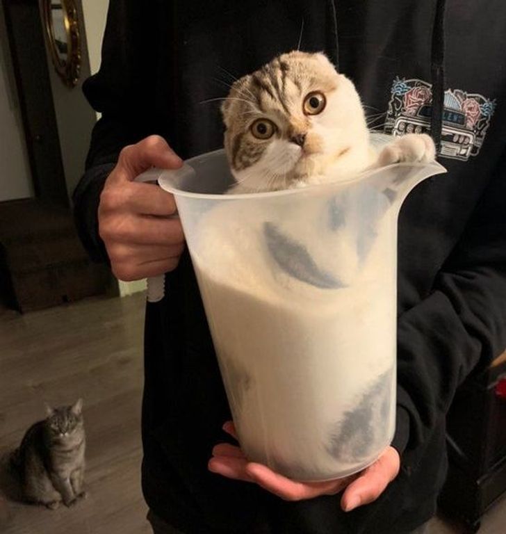 4f6ba1502c99ff0e8d8befa16c