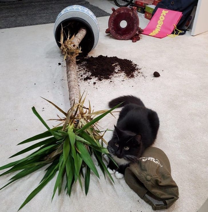 4f717253f8bf3a62f50d61b4eb