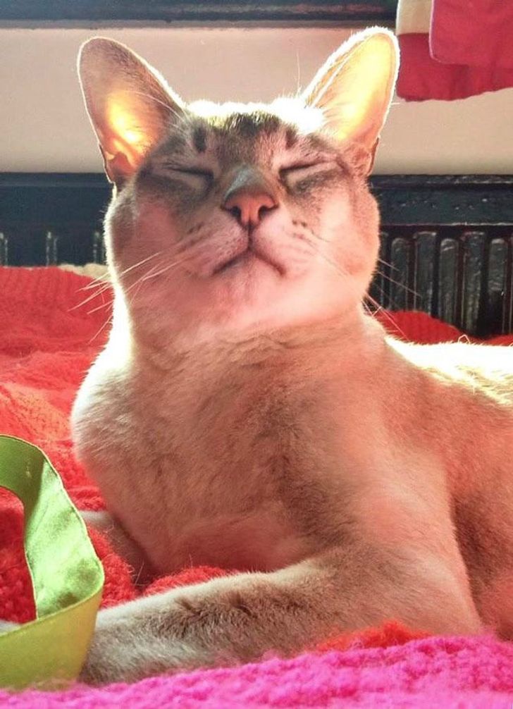 4f7e1f5c83b1bd2af8daea23ec