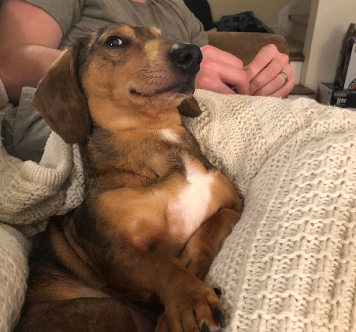 4f7ead5de394acc997c3e30a60