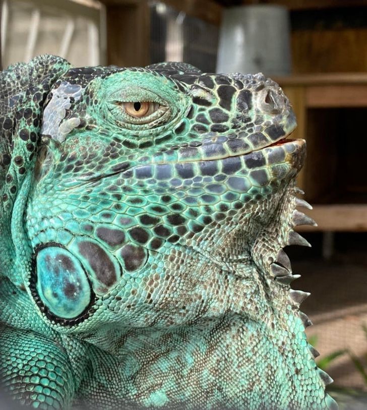 4f852b5ee4bf6cfd99df61c949