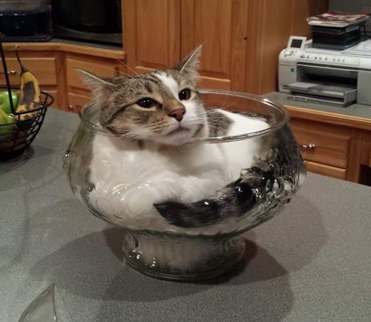 4f8a6c5d6a9d48729fd75cd897