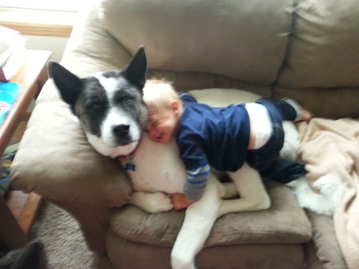 4f9071547fb9abb32842f3d91f