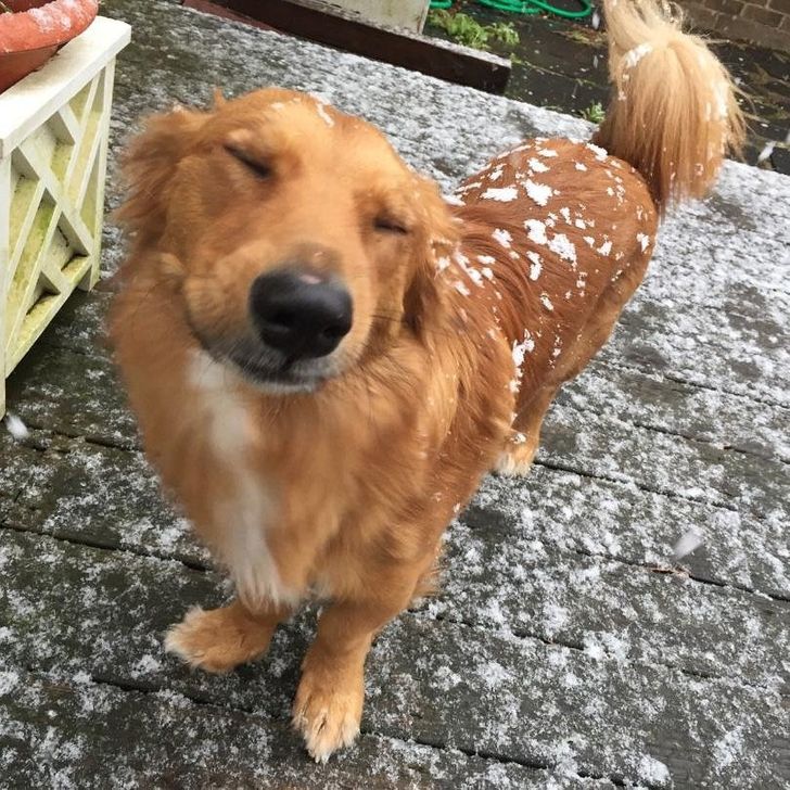 4f928c511ab187668a08f64736