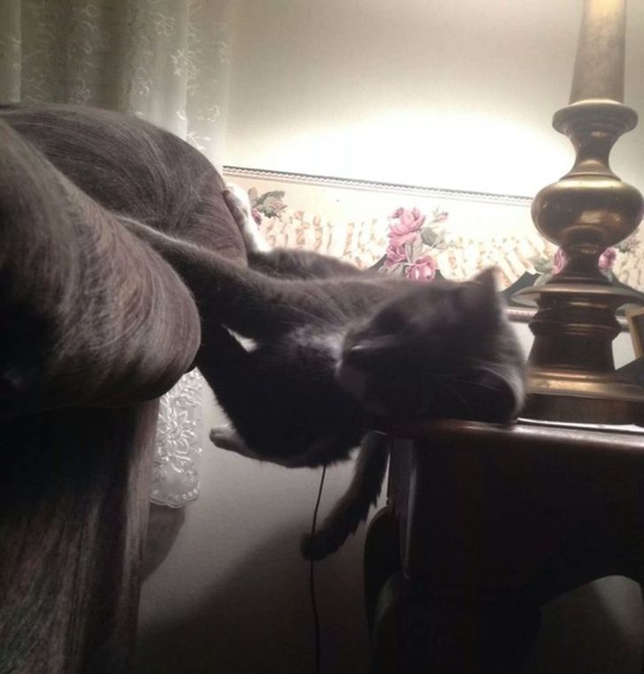 4fa5085ac3a0def092db13f313