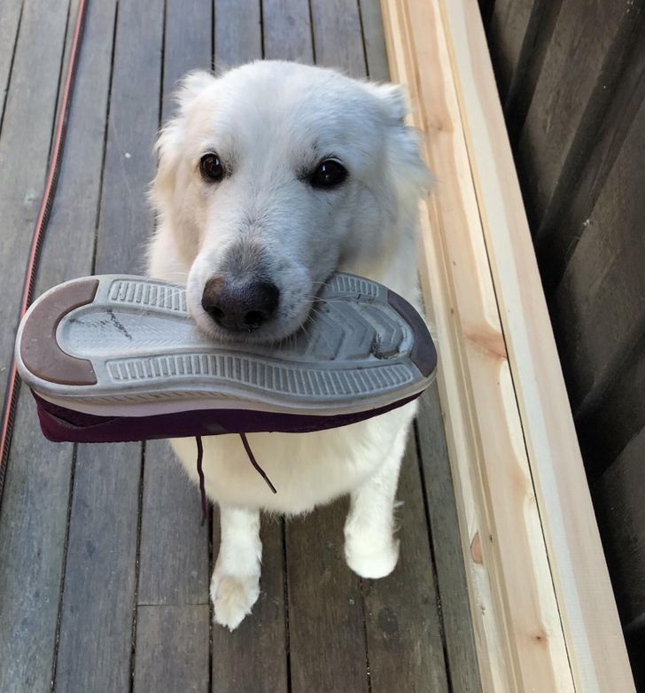 4fb1df574b943136605363fc97