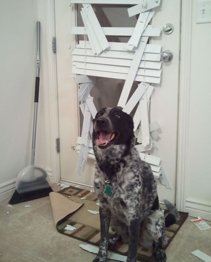 4fb2155f0aacd707d6fbc24ee9