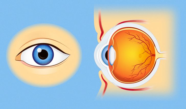 4fb2dc5822a35139caac8cdc22