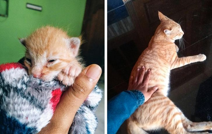 4fb78858d4a011dd8a4a32fd0a