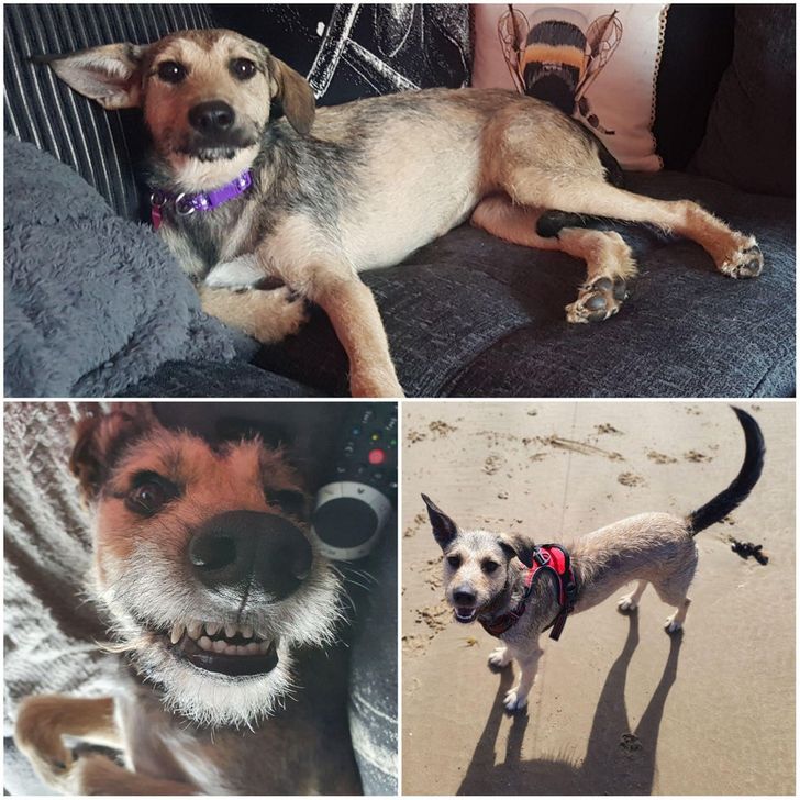 4fbacc5b8fa00d9fc762095fa8