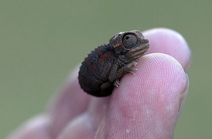 4fc83a54c290cb56a16a001caa