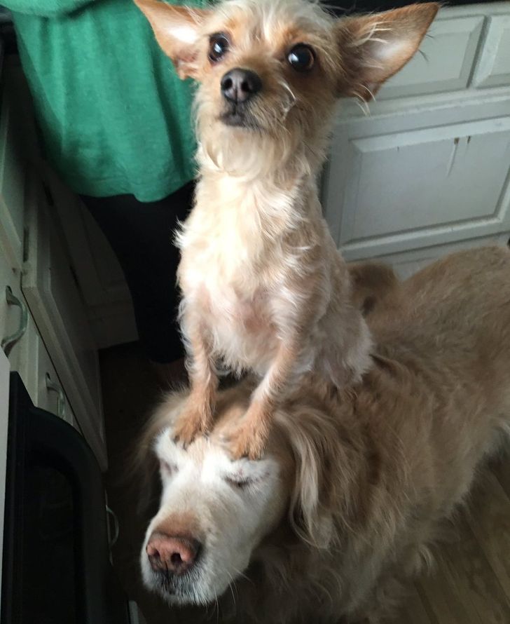 4fcce75584872f298daa1b072d