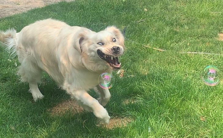 4fce61593ab0758650c3094e1a