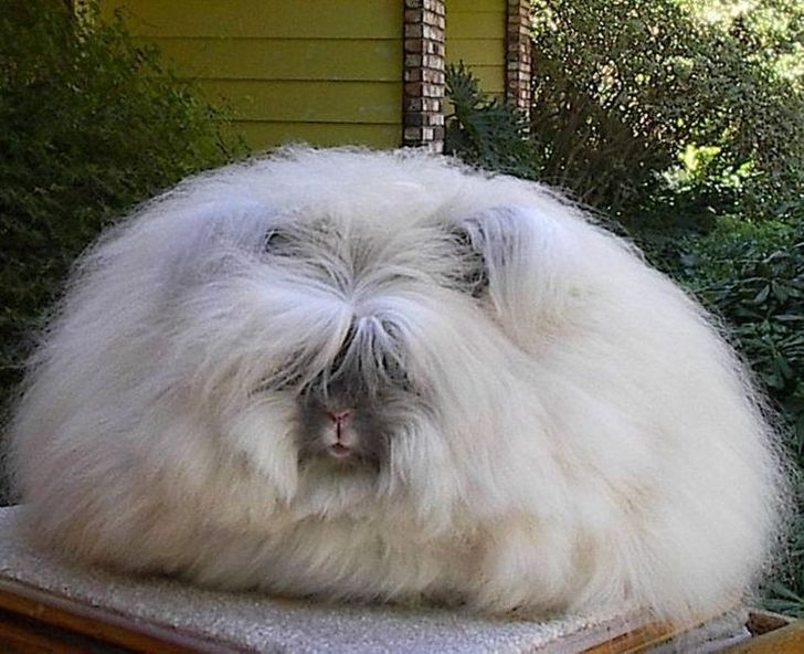 4fd01d582f8fe5fa6ff963b825