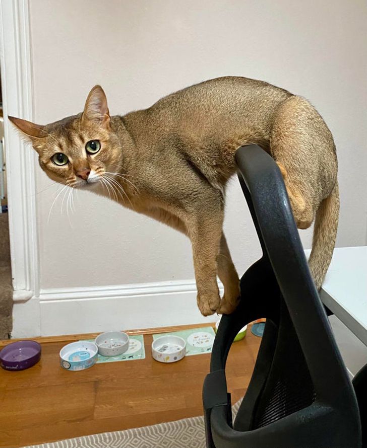 4fd0435134a3bd9b4c3d435840