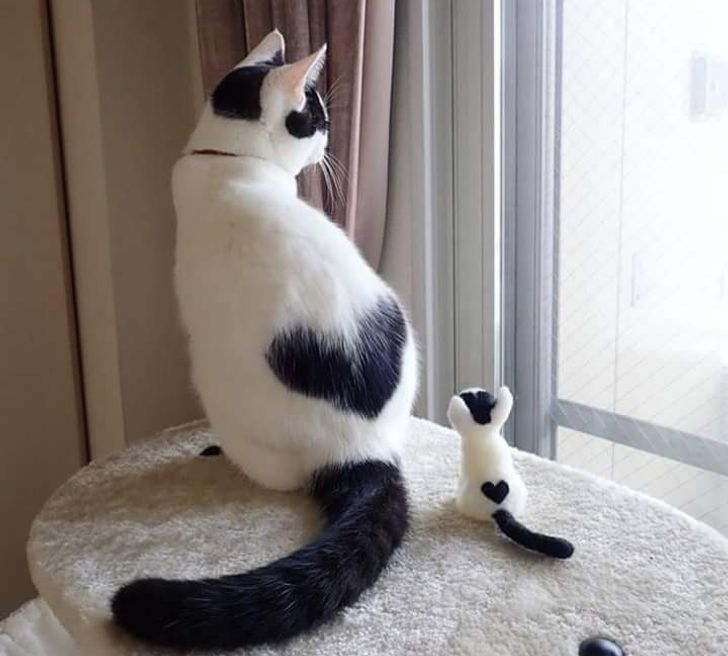 4fd3cf57efaa4d9cb74878dc26