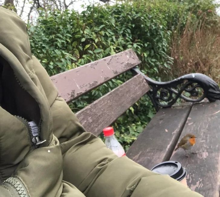 4fd91c553f8f323650a86f4722