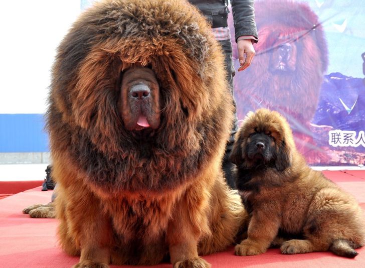 4fdc3a5d108f022a69ce08fded