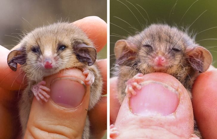 4fdd305a088665bcf1b91ed16c