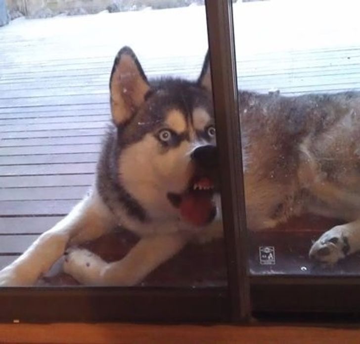 4fde3b56a1be0d3a44036492d2