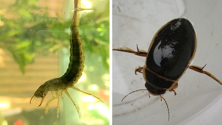 4fe01855ce8e33a5c3b5a14387