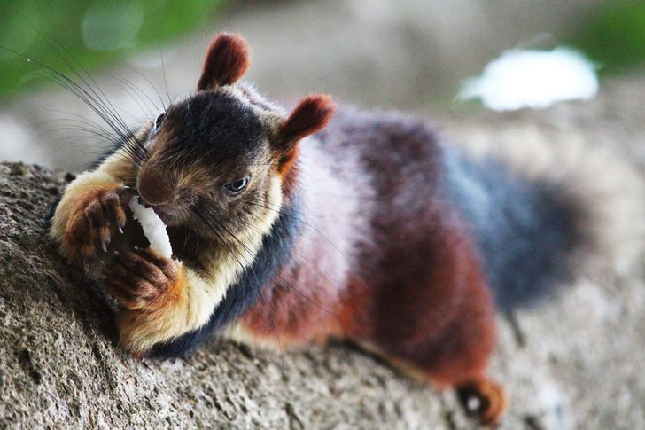 4ff4ec57188ccdd329b7236b82