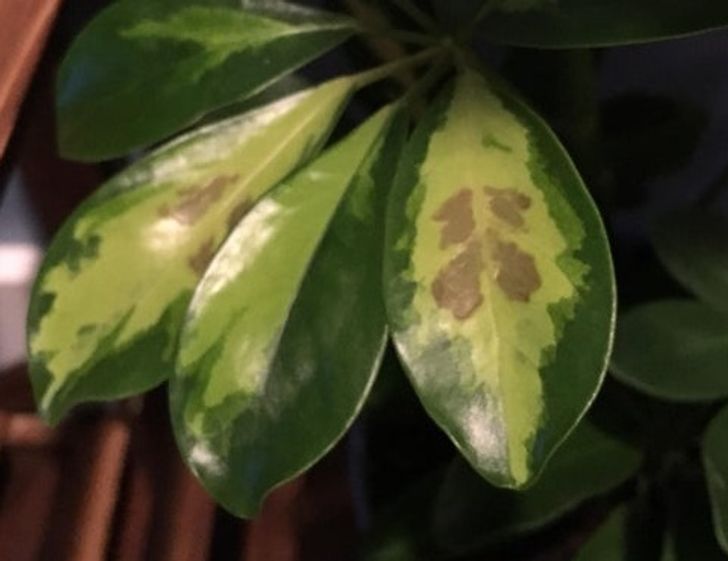 4fff685825b659ab2da249cbc2